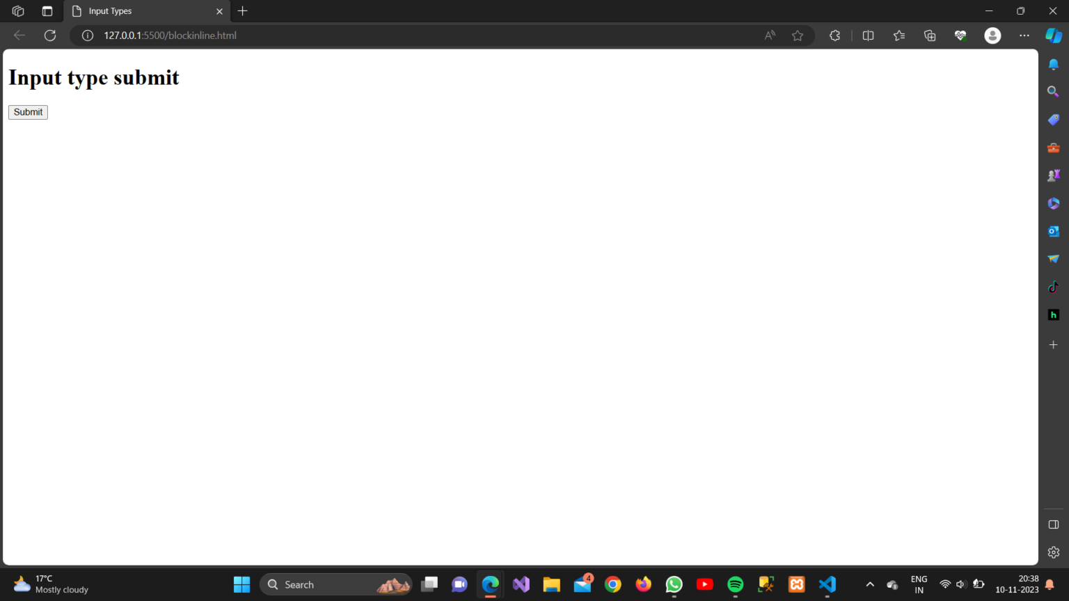 Input Types - Practicise